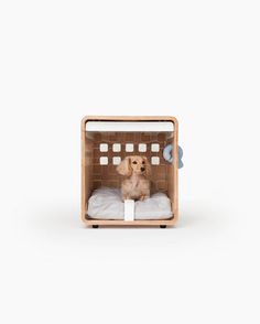 a small dog sitting in a wooden crate with white sheets on it's sides