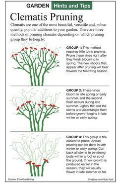 an info sheet describing how to grow and care for plants