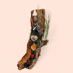 a piece of driftwood with plants and rocks on it's sides is shown from above