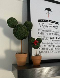 two potted plants on top of a shelf next to a framed poster with an umbrella