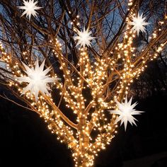 a lighted tree with white snowflakes on it