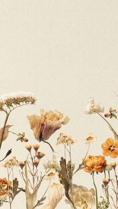 an arrangement of wildflowers and other flowers in front of a white background with the sky