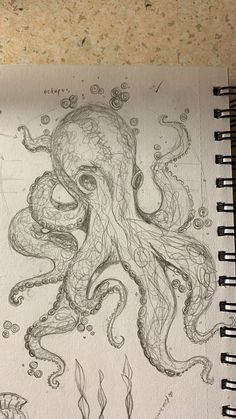 About Art, Octopus, Still Life, To Look, History, Art