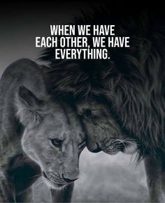 two lions touching each other with the caption when we have each other, we have everything