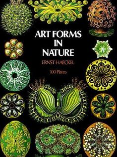 the cover of art forms in nature, with an image of various plants and flowers