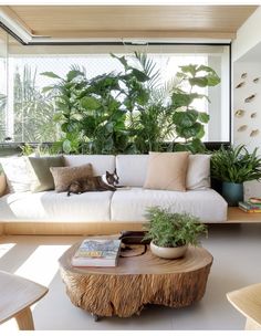 a living room filled with furniture and lots of plants