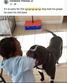 a little boy that is petting a dog on the nose with his mouth open