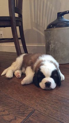 a puppy is laying on the floor next to a table and chair with a canister