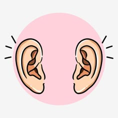 an ear with two different types of ears