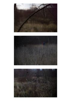 three different shots of the same person walking through tall grass in an area with no leaves