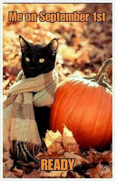 a black cat sitting next to a pumpkin on the ground with words reading, me on september 1st ready