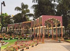 an outdoor garden with many flowers and plants