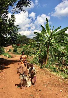 three people are standing on a dirt road near some trees and bananas in the background