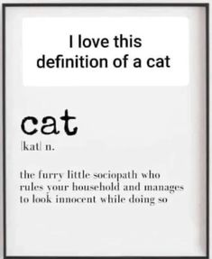 a sign that says i love this definition of a cat