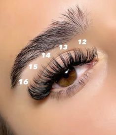 Lash Curl Types, Lash Map, Pretty Lashes, Natural Eyelash Extensions, Types Of Curls, Lashes Makeup, Lash Extensions, Eyelash Extensions, Eyelashes