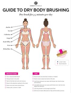 Dry Brush Guide, What Is Lymph Drainage, Lymph Drainage Massage Dry Brushing, Body Dry Brush, How To Dry Brush Skin Diagram, Body Lymph Drainage Massage, Guasha Lymph Drainage, Diy Lymph Drainage, Full Body Lymph Drainage