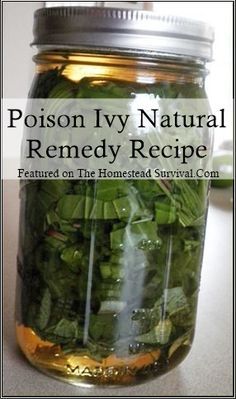 Poison Ivy Remedies, Natural Healing Remedies, Diy Remedies, The Homestead, Homestead Survival, Natural Therapy, Homemade Remedies, Natural Remedy, Natural Health Remedies