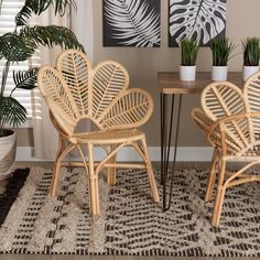 two wicker chairs sitting next to each other in front of a table with potted plants