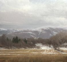 a field with snow covered mountains in the distance and trees on the other side,