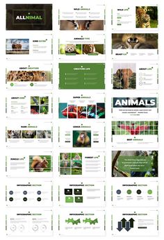 an image of a web page with many different images on it, including animals and birds