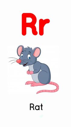 the letter r is for rat with an image of a mouse on it's back