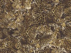 Leopardo Incognito Wallpaper in Alessia Leopard Print Wallpaper, Wallpaper Adhesive, Animal Print Wallpaper, Strong Character, 1% Wallpaper, Forward Thinking, Macbook Wallpaper, Wallpaper Pattern, Wallpaper Panels