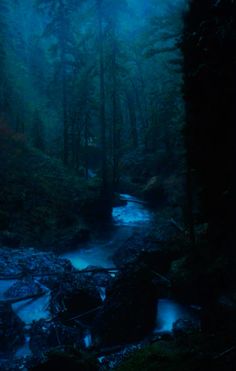 a stream running through a forest filled with lots of green trees and rocks at night