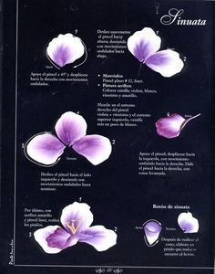 an image of flowers that are in spanish