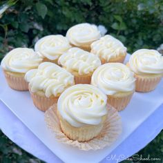 cupcakes with white frosting sitting on a platter in front of some bushes