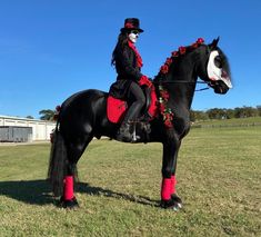 a woman in black riding on the back of a black horse wearing red socks and top hats