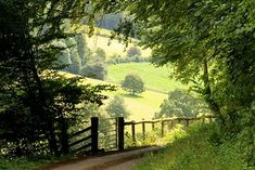 a dirt road surrounded by lush green trees and rolling hills in the distance, with a wooden fence on either side