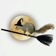 a squirrel sitting on top of a broom with a full moon in the back ground