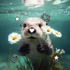 an otter holding daisies under water with hello kitty stickers on its face