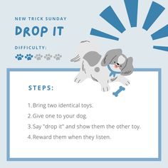 a poster with instructions on how to train a dog for puppy training, including steps