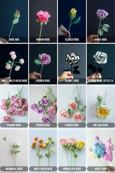 many different types of flowers are shown in this photo collage with the names and colors