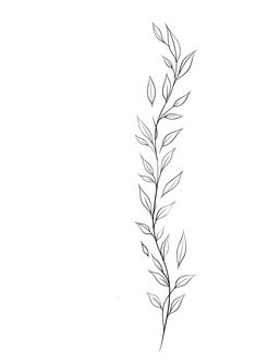 Simple Greenery Tattoo, Vine Minimalist Tattoo, Leaf Wrap Around Tattoo Arm Stencil, Plant Tattoo Stencil, Greek Vine Tattoo, Wrap Around Wrist Tattoos Stencil, Vine Tattoos Ankle, Vine Ribcage Tattoo, Branch Tattoos For Women