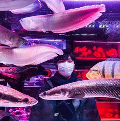 a man wearing a face mask surrounded by fish