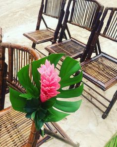 a pink flower sitting on top of a wooden chair next to another set of chairs