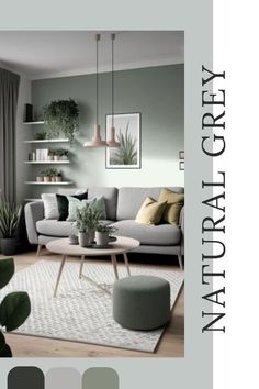 Sage Green Black And White Living Room, Grey Sage Living Room, Green And Gray Living Room Color Scheme, Olive And Grey Living Room, Sage Grey Living Room, Grey Couch Color Scheme, Grey And Green Living Room Ideas, Green Grey Living Room