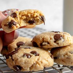 a hand holding a chocolate chip cookie over a cooling rack filled with cookies and muffins