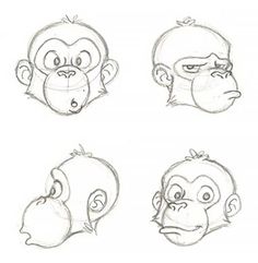 four different types of monkey faces drawn in pencil