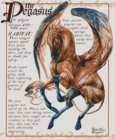 a drawing of a horse with wings on it's back legs and the words, the pegasisus