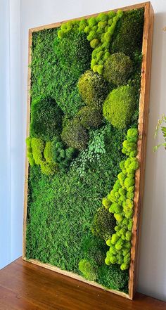 an image of a moss covered wall in the shape of a frame with trees and plants on it