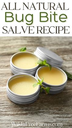 herbal bug bite remedy Salve Recipes, Herbal Salves, Healing Salves, Diy Lotion, Homemade Lotion, Homemade Bath Products, Diy Health, Beauty Recipe, Diy Skin Care