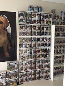 a dog is sitting on the floor in front of a wall full of pictures and cds