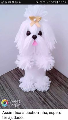 a white dog with a gold bow on it's head sitting in front of a wall