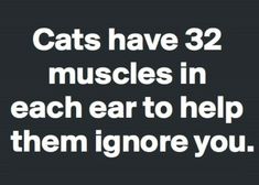 the text reads cats have 32 muscles in each ear to help them ignore you,