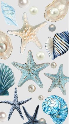 an assortment of seashells and starfish on a white background with pearles