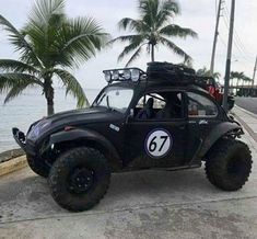 an off - road vehicle parked on the side of the road near the water with palm trees in the background