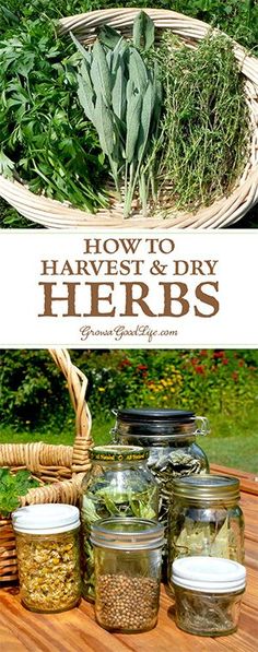 several jars filled with herbs sitting on top of a wooden table next to a wicker basket